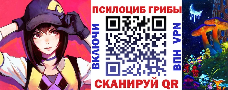 Купить закладки  Андреаполь  Псилоцибиновые грибы Psilocybine cubensis 