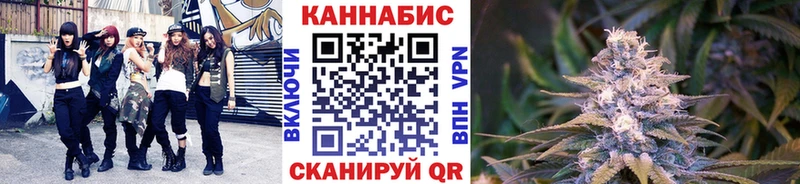 Бошки Шишки сатива Андреаполь